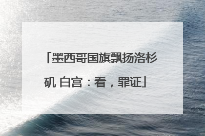 墨西哥国旗飘扬洛杉矶 白宫：看，罪证